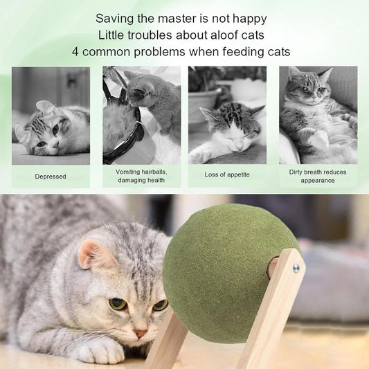 Giant Large Cat Scratching Ball Catnip Ball with Wood Stand Cat Toy for Kitty